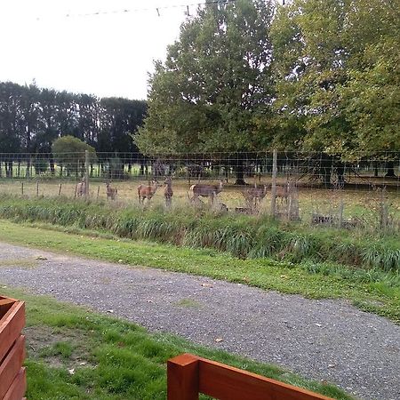 Lowlands Cottageヘイスティングズ エクステリア 写真