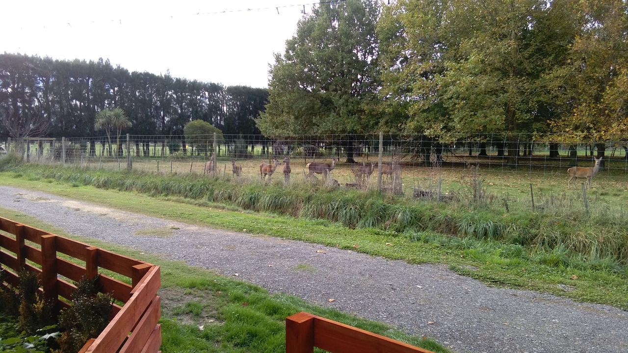 Lowlands Cottageヘイスティングズ エクステリア 写真