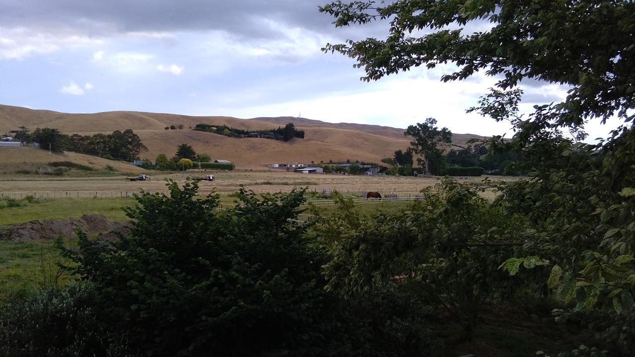 Lowlands Cottageヘイスティングズ エクステリア 写真